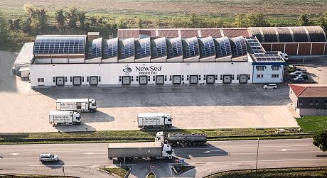 NewSea